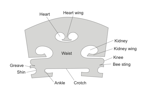 Violin-Bridge-Detailed-Description.jpg