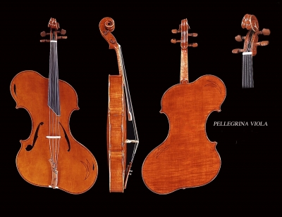 Pellegrina-viola.jpg
