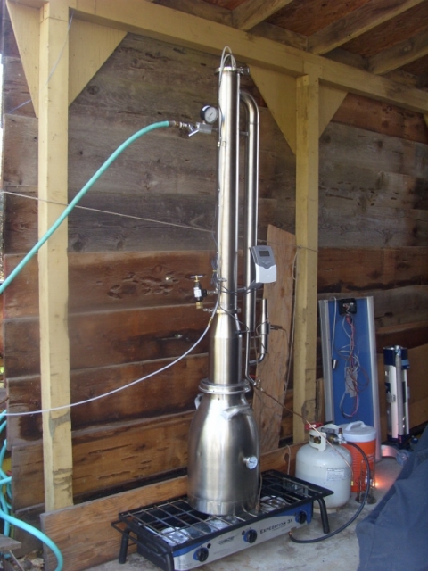 SI853399-600x800.jpg