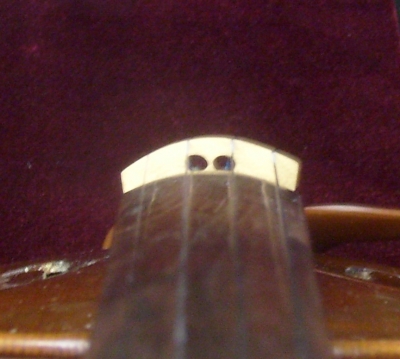 Si853554comp.jpg