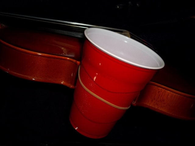 Violin_Cup-bout.JPG