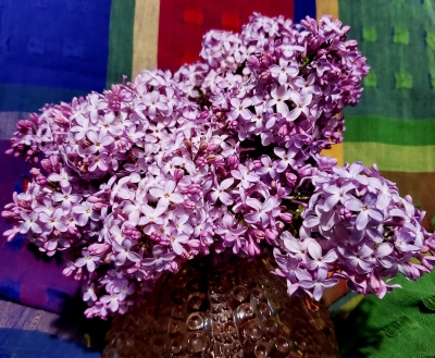 Fresh-Lilacs.jpg