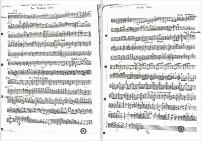 William_Heinesen_Viola_Solo_Screenshot_20-8-2024_2334_.jpeg