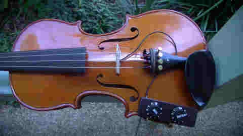 violin-top.jpg