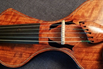 dbcv-electric-bubinga-wood-six-string-violin-dolphin-f-holes.jpg