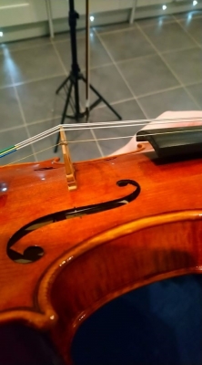 violin...jpg