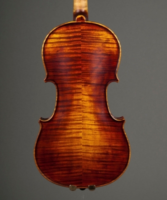 horse-violin-back.jpg