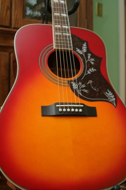 hummingbird_guitar.jpg